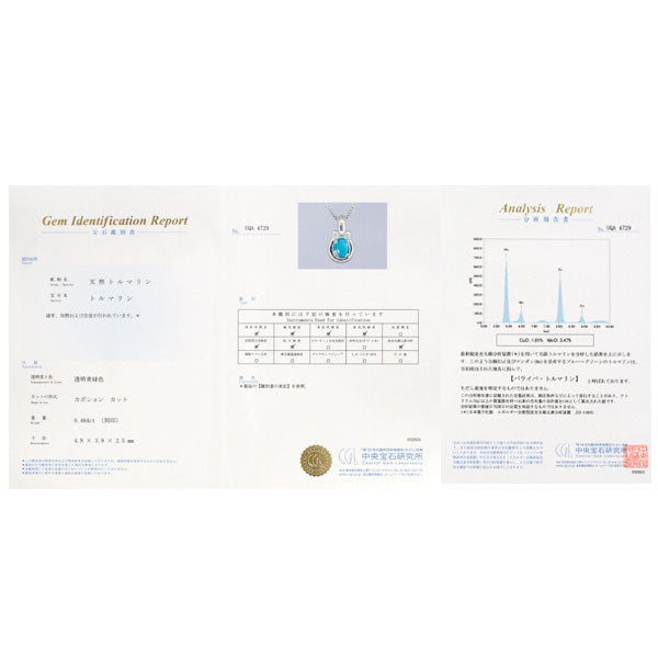 Pt850 パライバトルマリン ペンダントネックレス 0.464ct