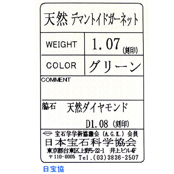希少 Pt900 デマントイドガーネット ダイヤモンド リング 1.07ct D1.08ct