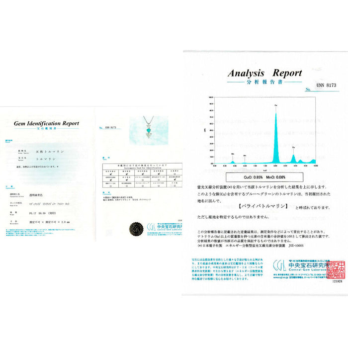 Pt パライバトルマリン ダイヤモンド ペンダントネックレス 0.17ct D0.59ct